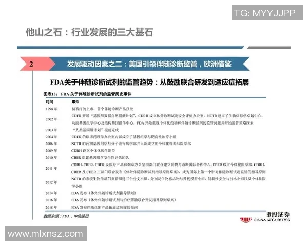 北京网球队技术揭秘：从训练到比赛的全景分析与深度探讨