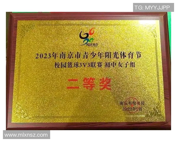 南京篮球队展现强大实力大满贯赛事点评与分析