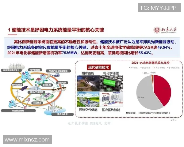 数据分析揭示北京篮球队在赛季中的意识表现与战术执行的深度关系